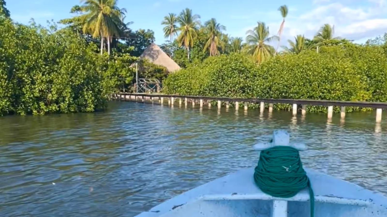 Paradise Island, foto 5 de 8