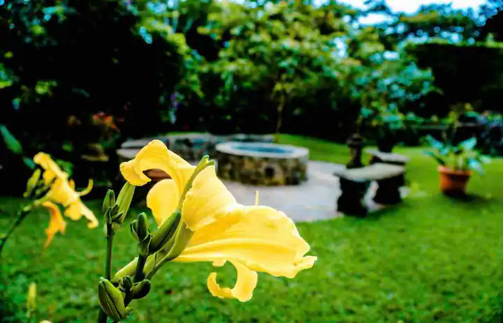 19f792bc-12eb-4bfe-ace2-2169094df647