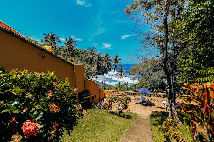 307ea3a5-7c86-4129-8839-102d5cafe4d5