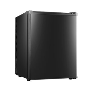 MINI REFRIGERADOR 32 L 100/240V